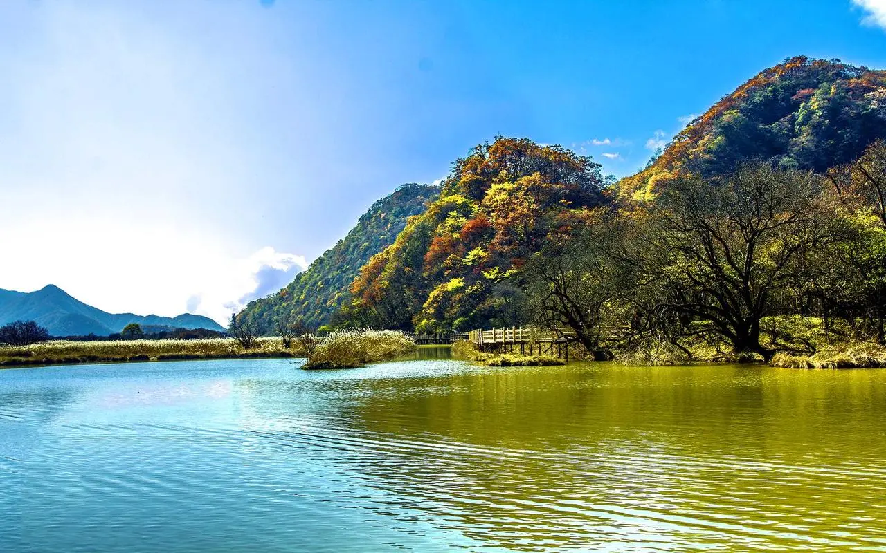 高精度电子节能